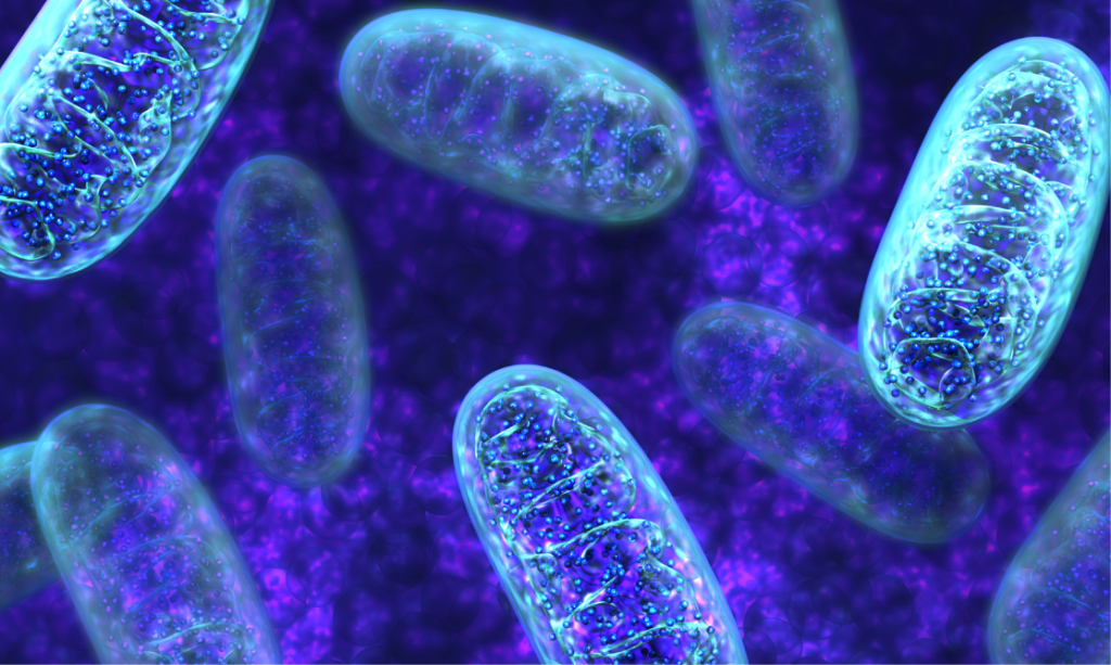 Mito911 Webinar Series