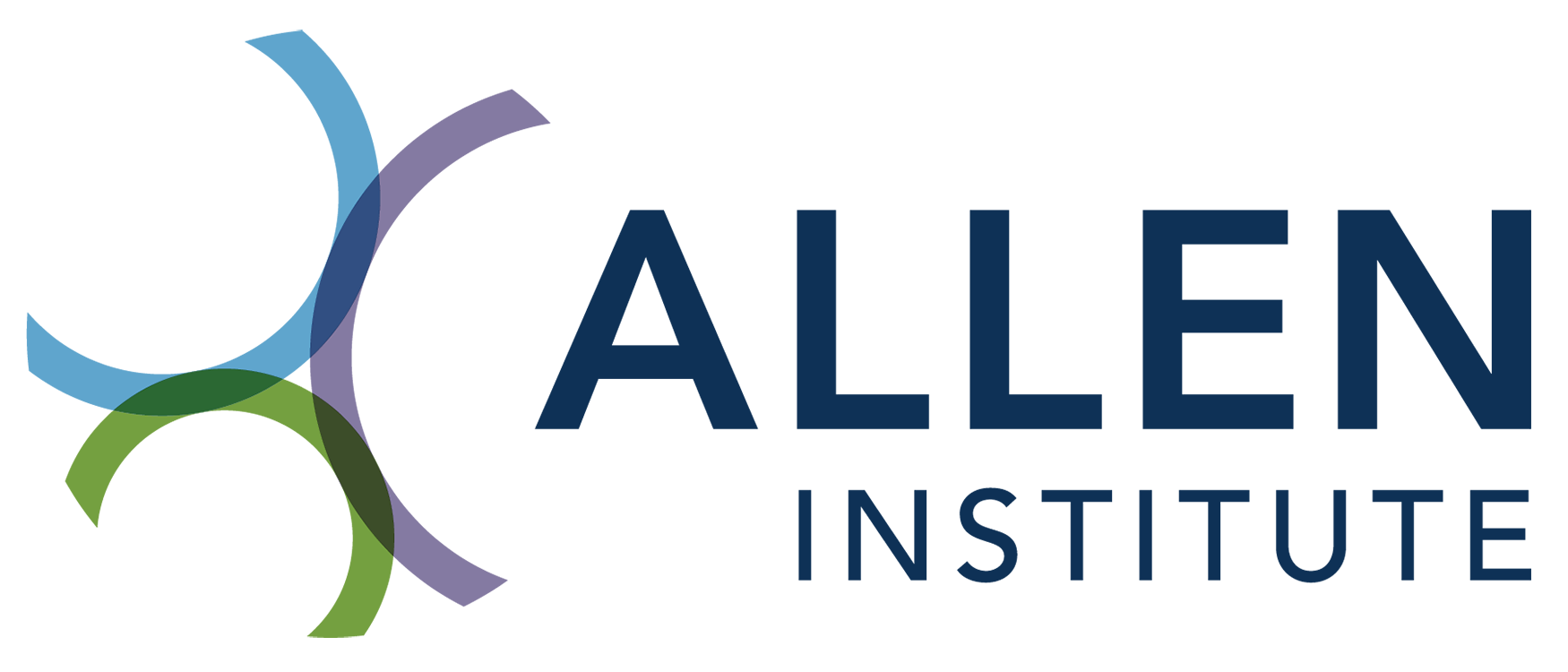 AI Logo