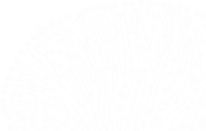 Open Science