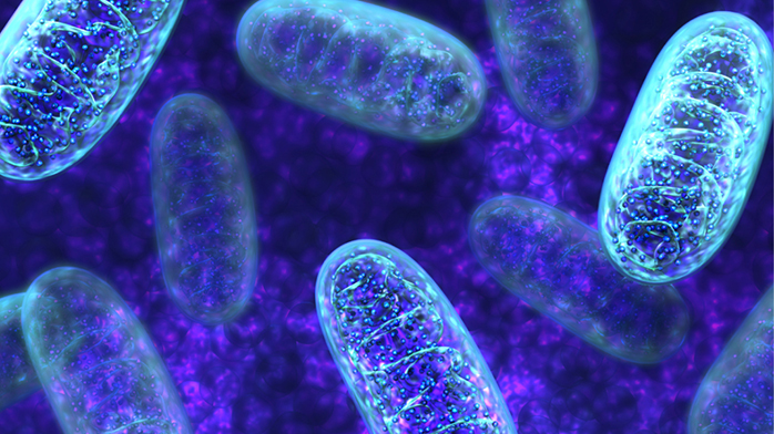 Mito911 Webinar Series