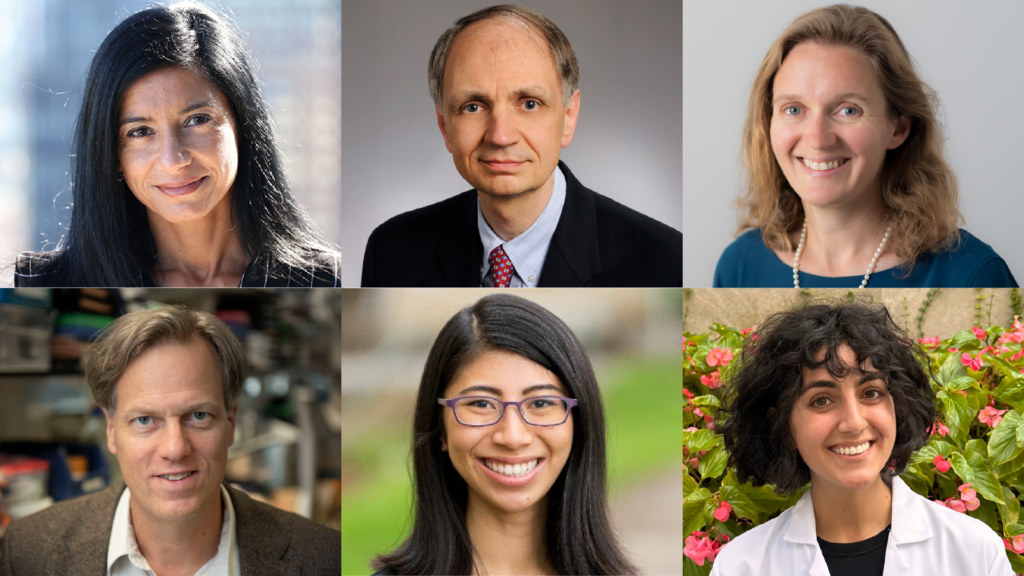 Roberta Marongiu, Thomas Wichmann, Alexandra Nelson, Per Svennigsson, Eileen Ruth Torres, and Jacquelyn Haytayan