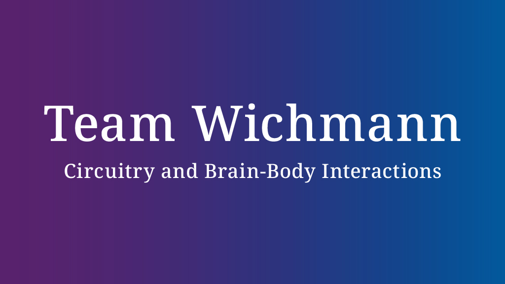 Team Wichmann