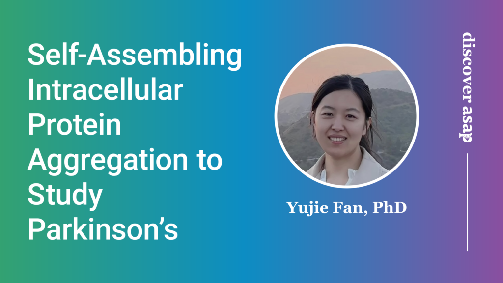 A Programmable Self-Assembling System to Model Intracellular Protein Aggregation 