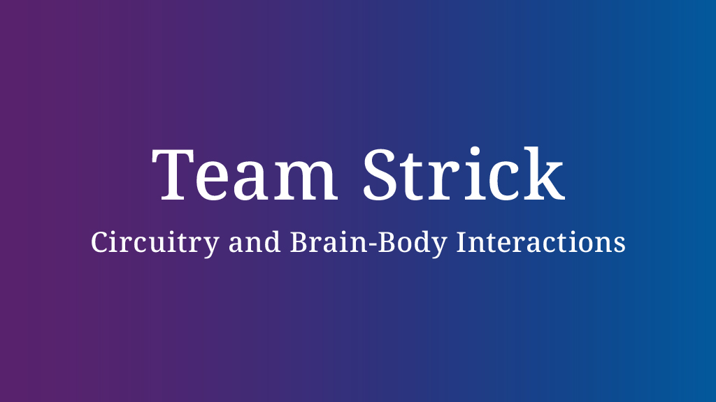 Team Strick