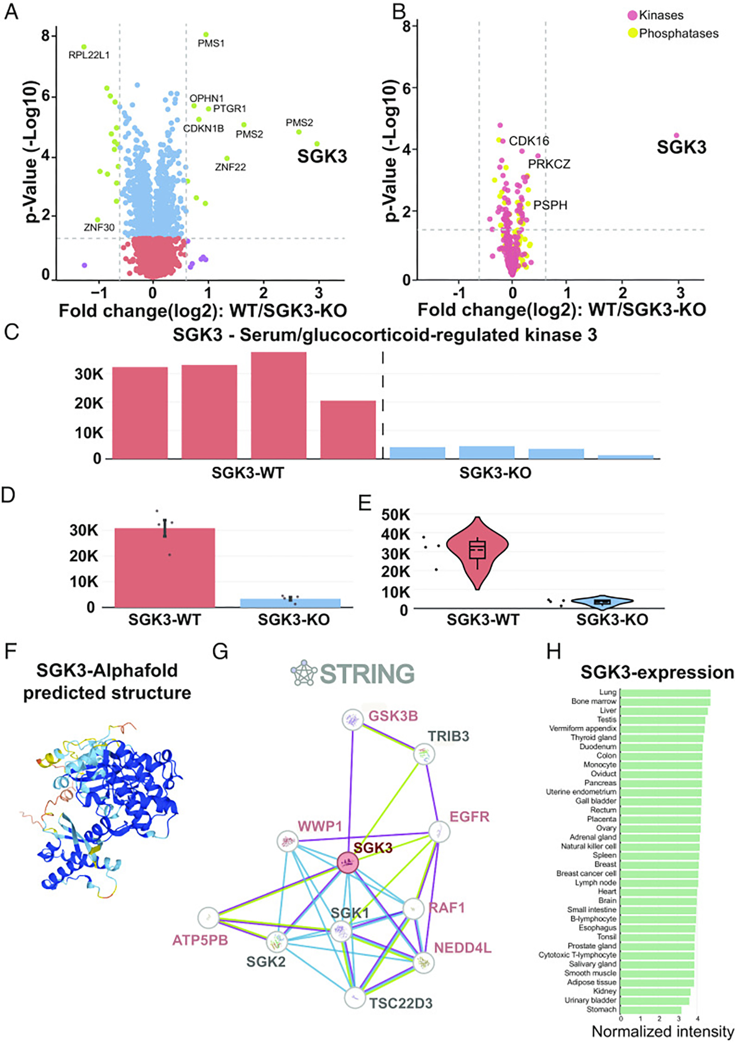 CURTAIN-A unique web-based tool for exploration and sharing of MS-based proteomics data. Figure 2.