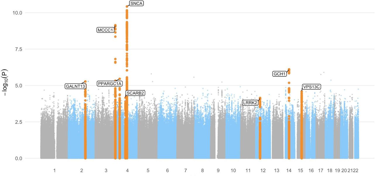 GP2 Taiwan-wide PD Genome-Wide Association Study (GWAS)
