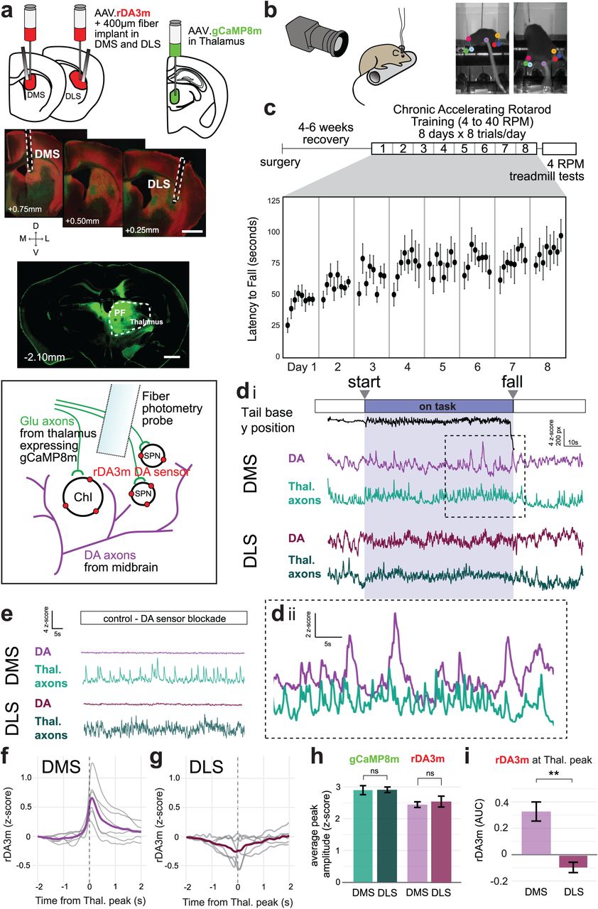 Team Edwards preprint (Circuitry)