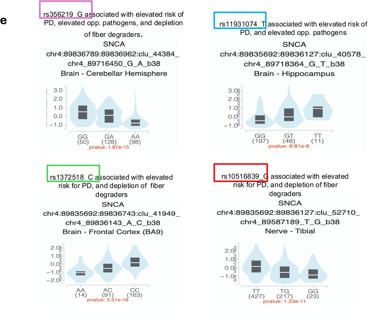 Team Liddle preprint (Circuitry)