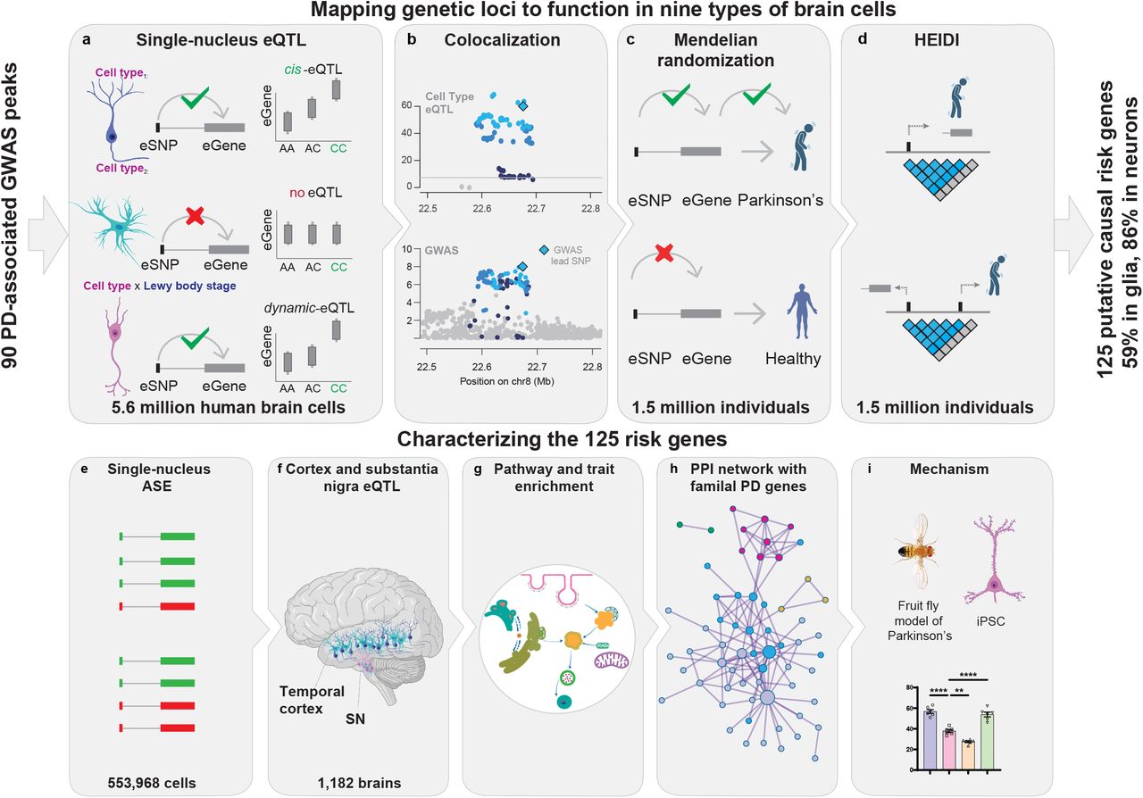 Team Scherzer preprint (Genomics)